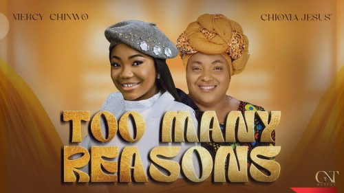 Too Many Reasons image